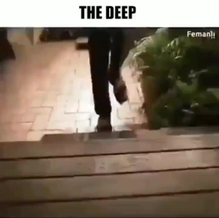 рр Регтап\!