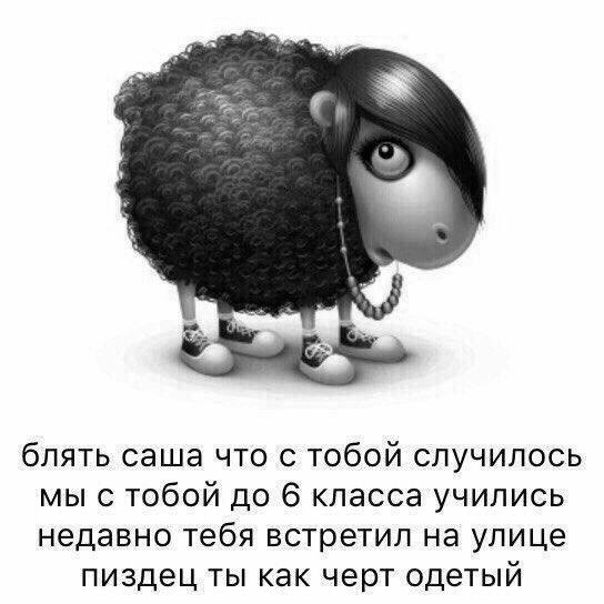 С, блять саша что с тобой случилось мы с тобой до 6 класса учились недавно тебя встретил на улице пиздец ты как черт одетый
