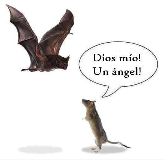 Dios mio!