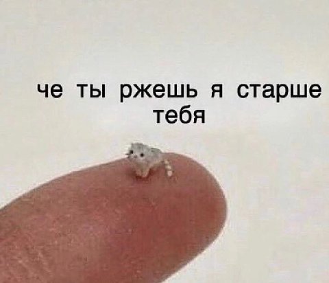 че ты ржешь я старше тебя
