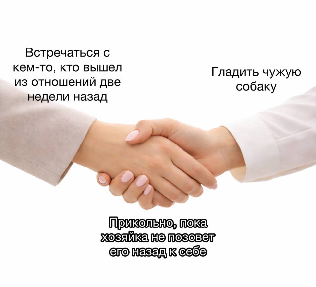 Встречаться с кем-то, кто вышел Гладить чужую из отношений две собаку недели назад