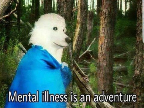 Mental illness 15 an