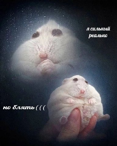 я сильный реально 4. if vag блять