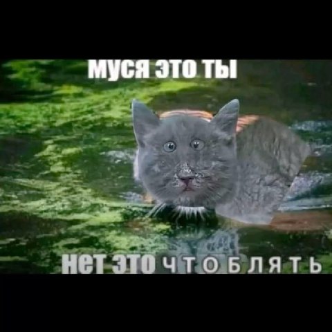 МУСЯ 370 НеТ ЭТО что БЛЯТЬ