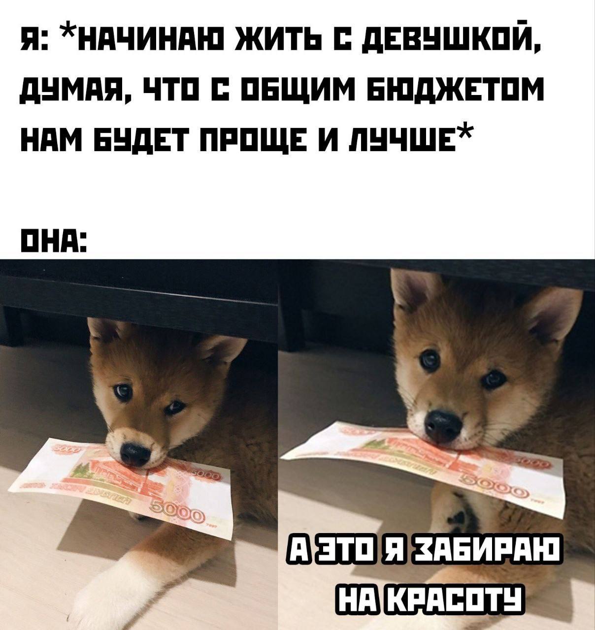 Я: ЖИТЬ С ДЕВУШКОЙ, ДУМАЯ, ЧТО С ОБЩИМ БЮДЖЕТОМ НАМ БУДЕТ ПРОЩЕ И ЛУЧШЕХ ОНА: ZAGMPAH НА]КРАСОТУ