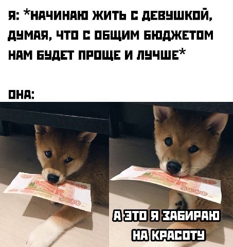 Я: ЖИТЬ С ДЕВУШКОЙ, ДУМАЯ, ЧТО С ОБЩИМ БЮДЖЕТОМ НАМ БУДЕТ ПРОЩЕ И ЛУЧШЕХ ОНА: ZAGMPAH НА]КРАСОТУ