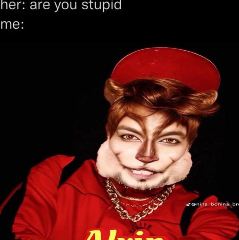 ner: are you stupid me:
