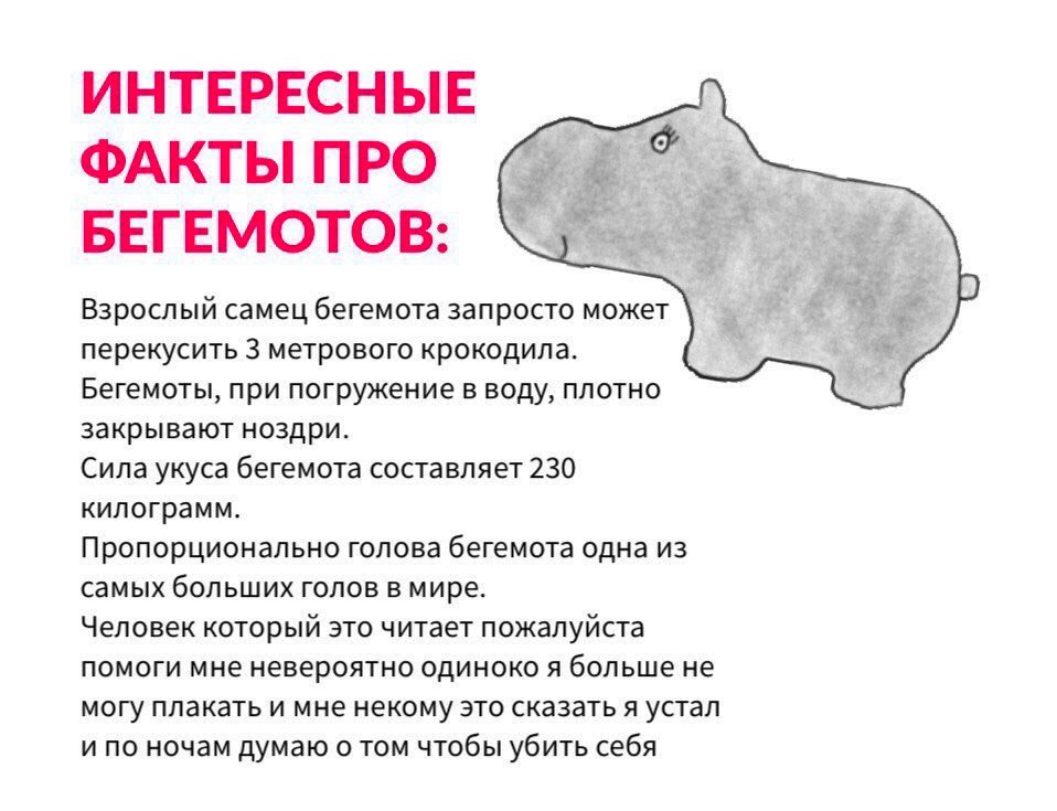 ИНТЕРЕСНЫЕ ФАКТЫ ПРО БЕГЕМОТОВ: Взрослый самец бегемота запросто может перекусить 3 метрового крокодила. Бегемоты, при погружение в воду, плотно закрывают ноздри. Сила укуса бегемота составляет 230 ки