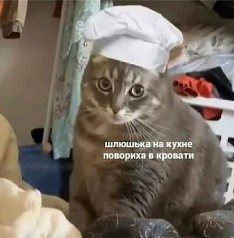 шлюшька на кухне повориха в кровати