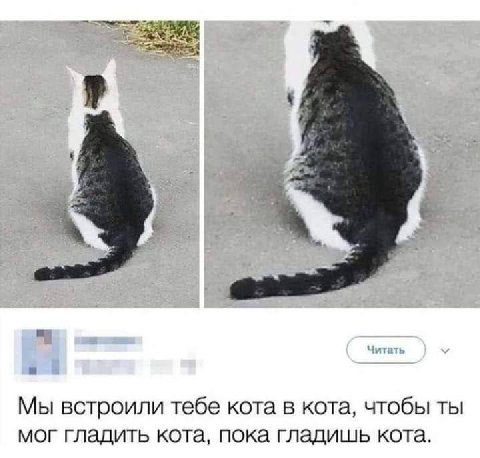 Мы встроили тебе кота в кота, чтобы ты мог гладить кота, пока гладишь кота.