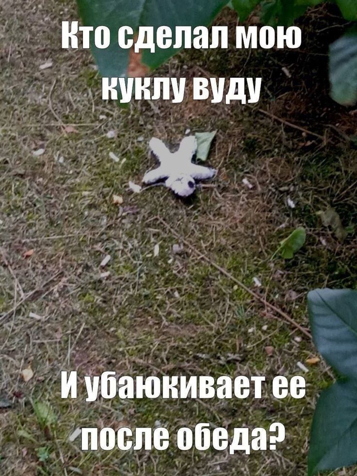 сделал мою куклу вуду Иубаюкивает ее После обеда?