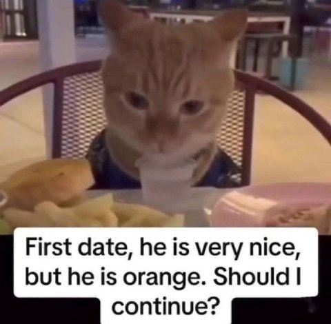 First date, he is very nice, but he is orange. Should continue?