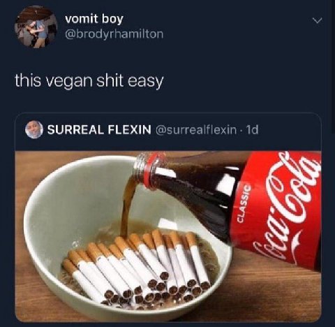 a vomit boy this vegan shit сазу FLEXIN 4.