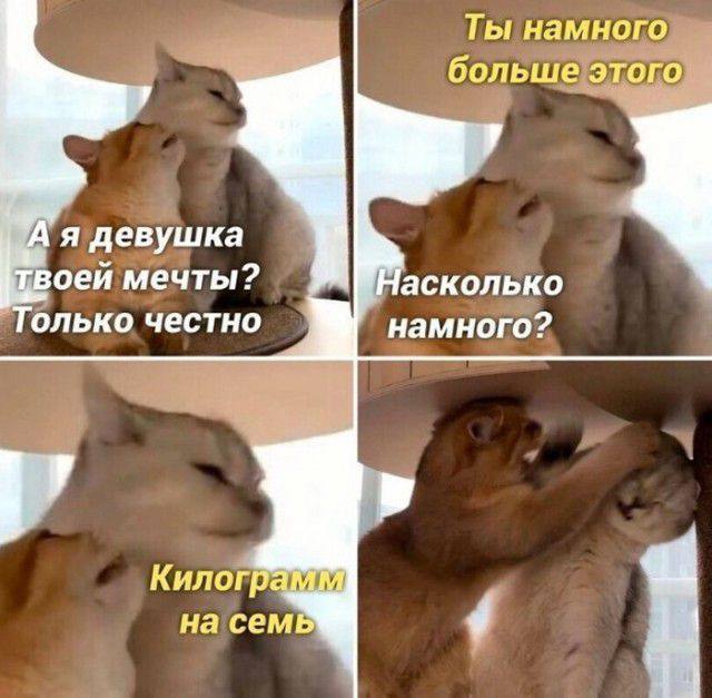 Ты намного больше этого я девушка твоей мечты? Насколько Только честно намного? Килограмм на семь