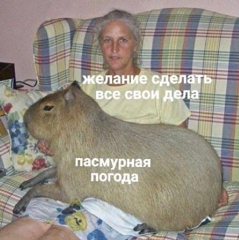 желание сделать. все свои дела пасмурная погода