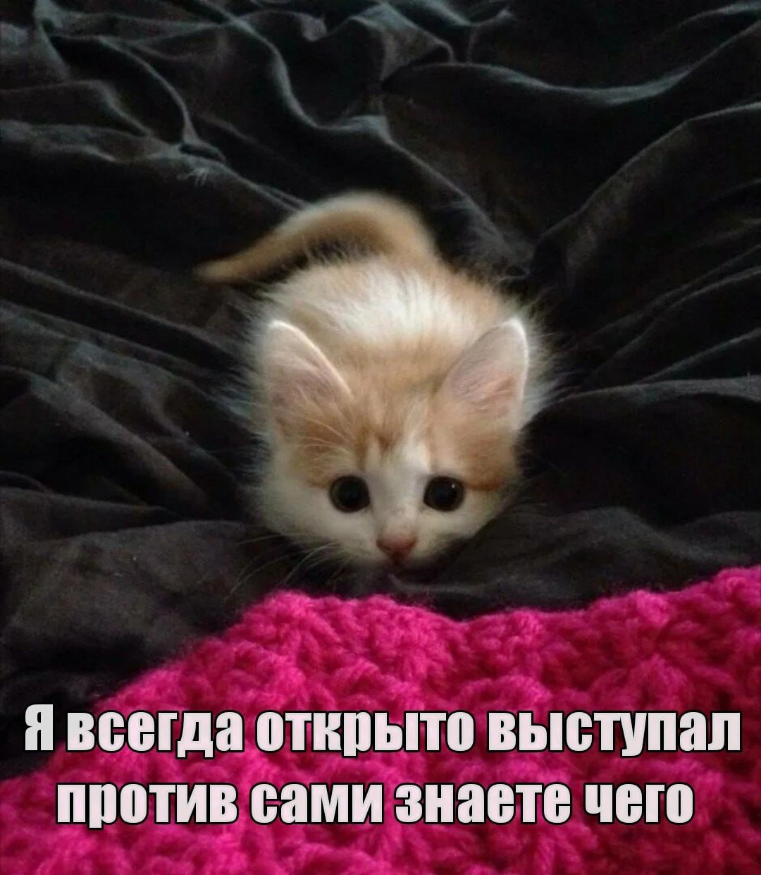 Я всегда открыто выступал против сами знаете чего