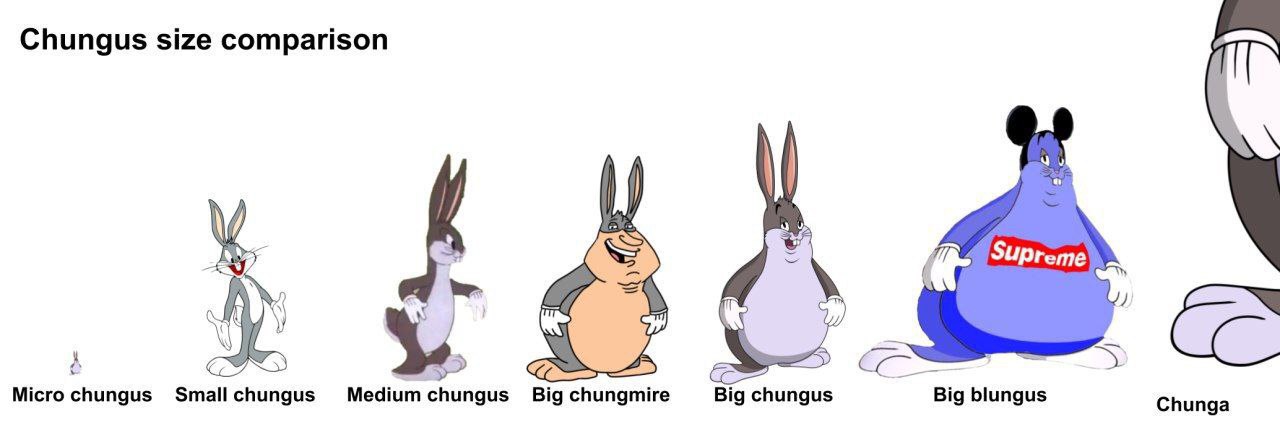 Chungus size comparison SUPreme Micro Small chungus Medium Big chungmire Big chungus Big blungus Chunga