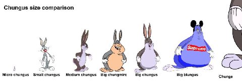 Chungus size comparison SUPreme Micro Small chungus Medium Big chungmire Big chungus Big blungus Chunga