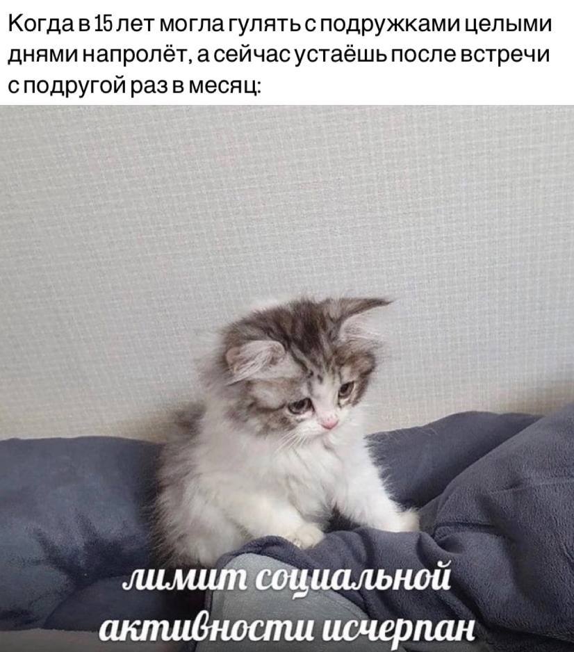 Когдав15 лет моглагулятьсподружками целыми днями напролёт, асейчасустаешь после встречи сподругой разв месяц: исчерпан