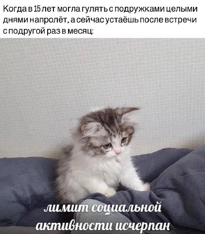 Когдав15 лет моглагулятьсподружками целыми днями напролёт, асейчасустаешь после встречи сподругой разв месяц: исчерпан