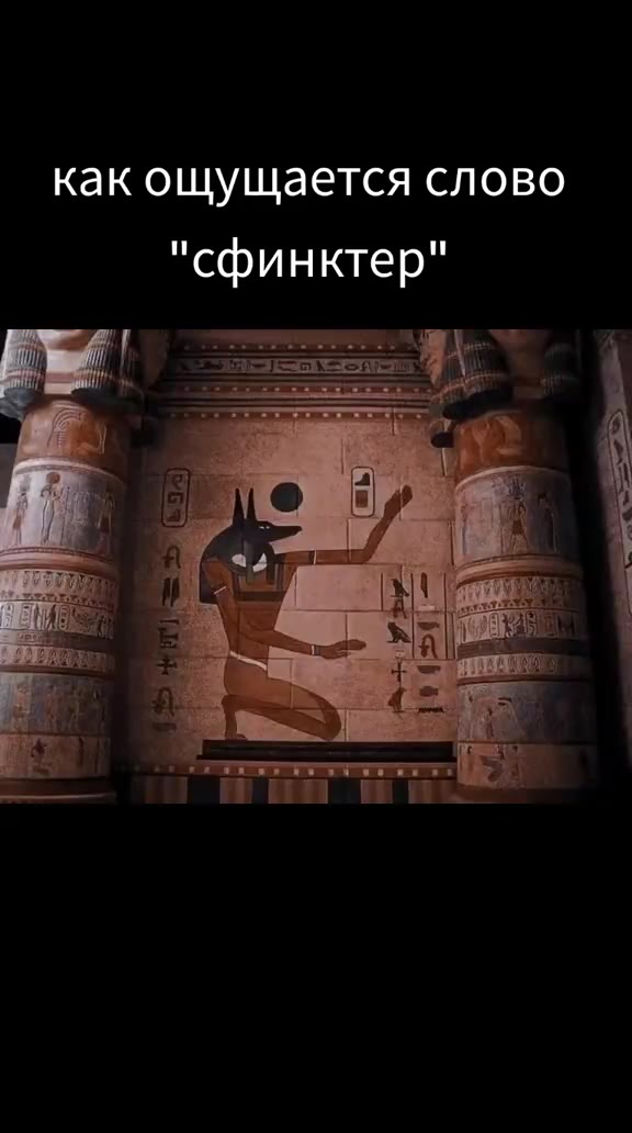 как ощущается слово "сфинктер"