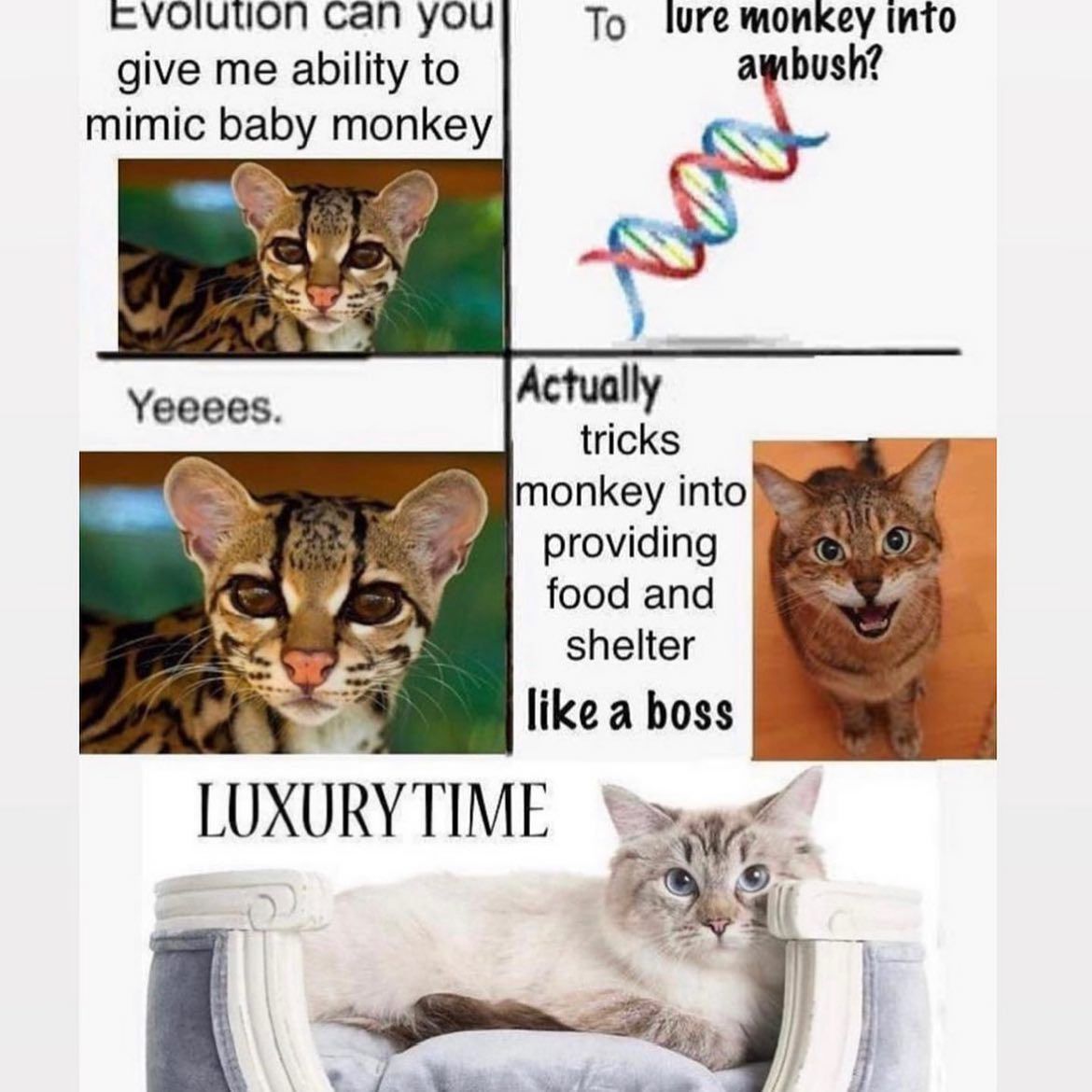 😊