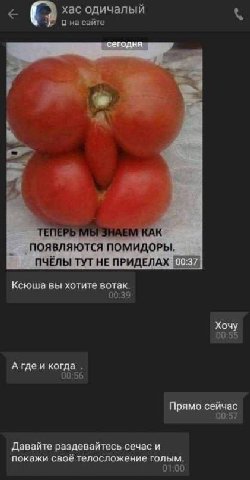 (2 хас одичалый Она сайте к ТЕПЕРЬ МЫЗНАЕМ КАК ПОЯВЛЯЮТСЯ ПОМИДОРЫ, ПУЁЛЫ ТУТ НЕ ПРИДЕЛАХ 11570 Ксюша вы хотите вотак. 00:39 Хочу 00:55 А гдеи когда 00:56 Прямо сейчас 00:57 Давайте раздевайтесь сечас