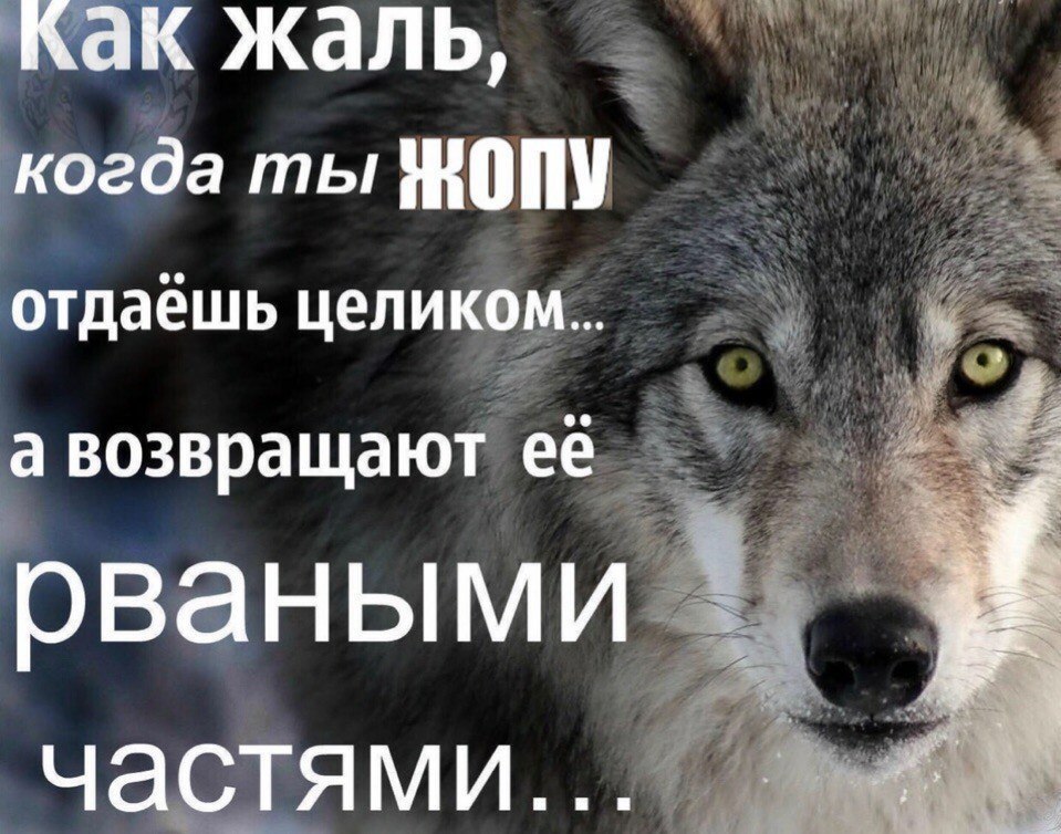 как жаль, когда ты отдаёшь целиком... a авозвращают её рваными частями...