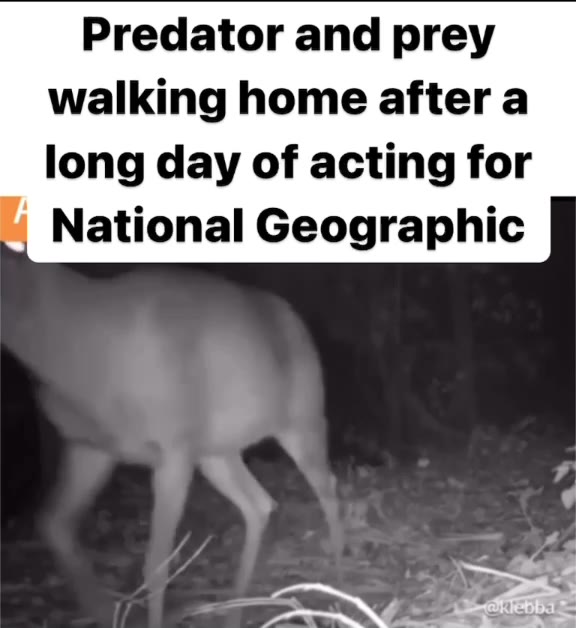walking home after a National Geographic