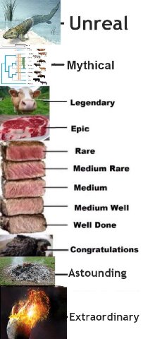 Hei Unreal Mythical Legendary Epic Rare Medium Rare Medium Medium Well Well Done Congratulations Astounding Extraordinary