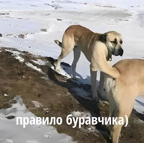 5 4 39 a <3 буравчика)