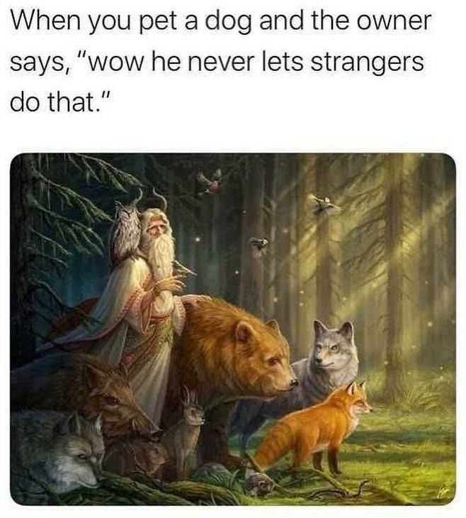 When you pet a dog and the owner says, ‘wow he never lets strangers that.”
