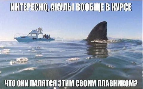 ВООБЩЕВ КУРСЕ A ЧТО ОНИ ПАЛЯТСЯ ЭТИМ СВОИМ ПЛАВНИКОМ?