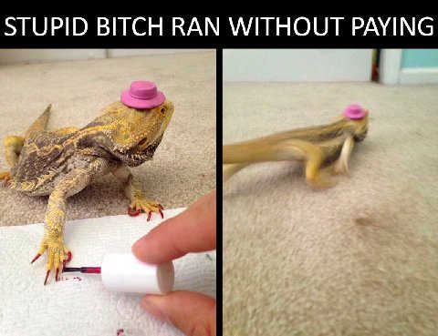 STUPID BITCH RAN WITHOUT PAYING