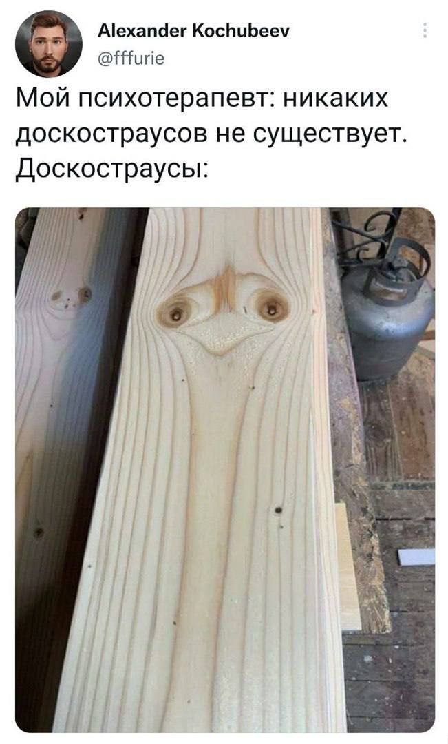 Alexander Kochubeev @fffurie Мой психотерапевт: никаких доскостраусов не существует Доскостраусы [1