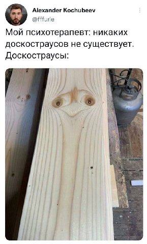 Alexander Kochubeev @fffurie Мой психотерапевт: никаких доскостраусов не существует Доскостраусы [1