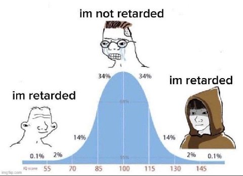 not retarded 34% 34% retarded retarded 14% 14% 0.1% 2% 2% 0.1% 509+ 55 70 85 100 115 130 145