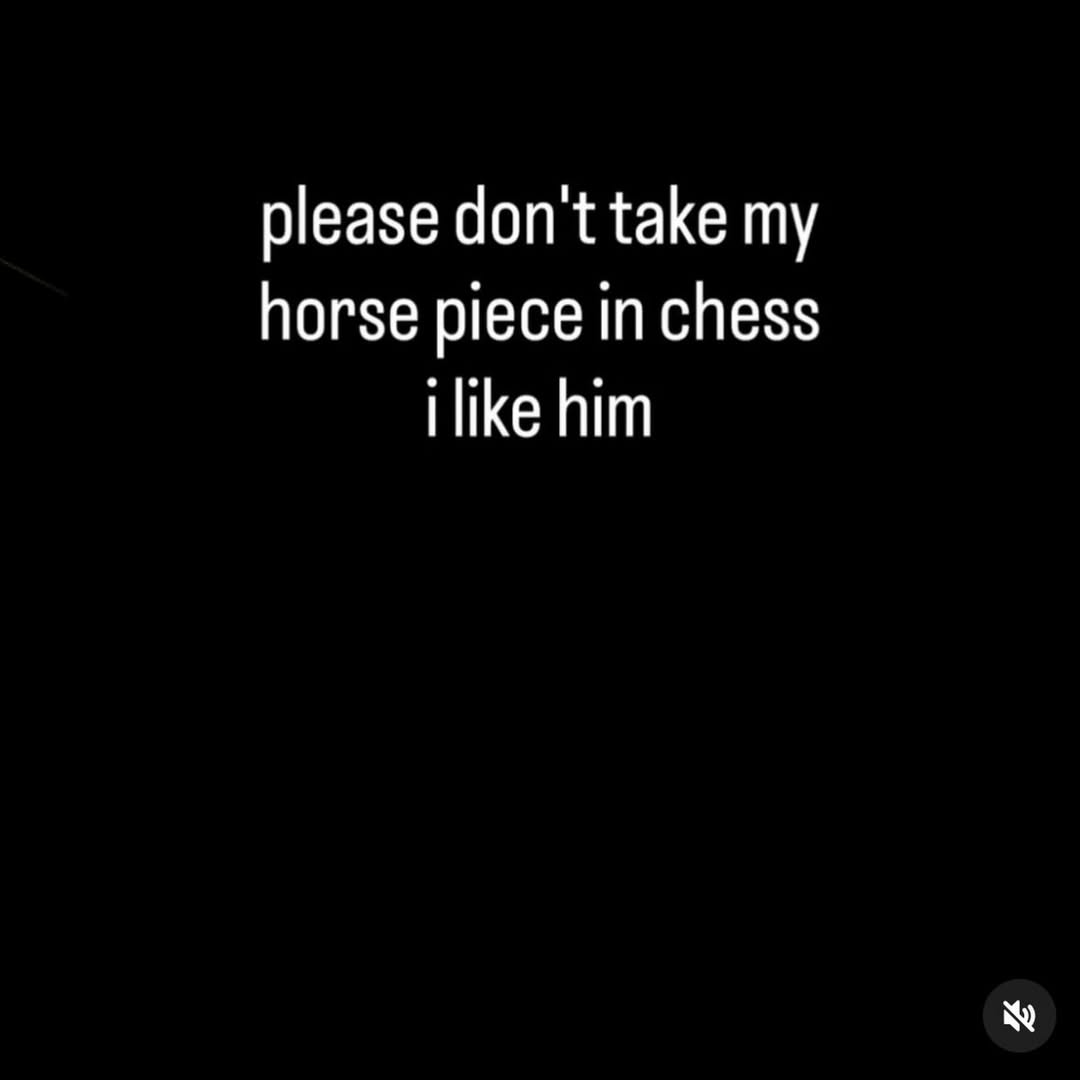 please don't take my horse piece in chess ilike him