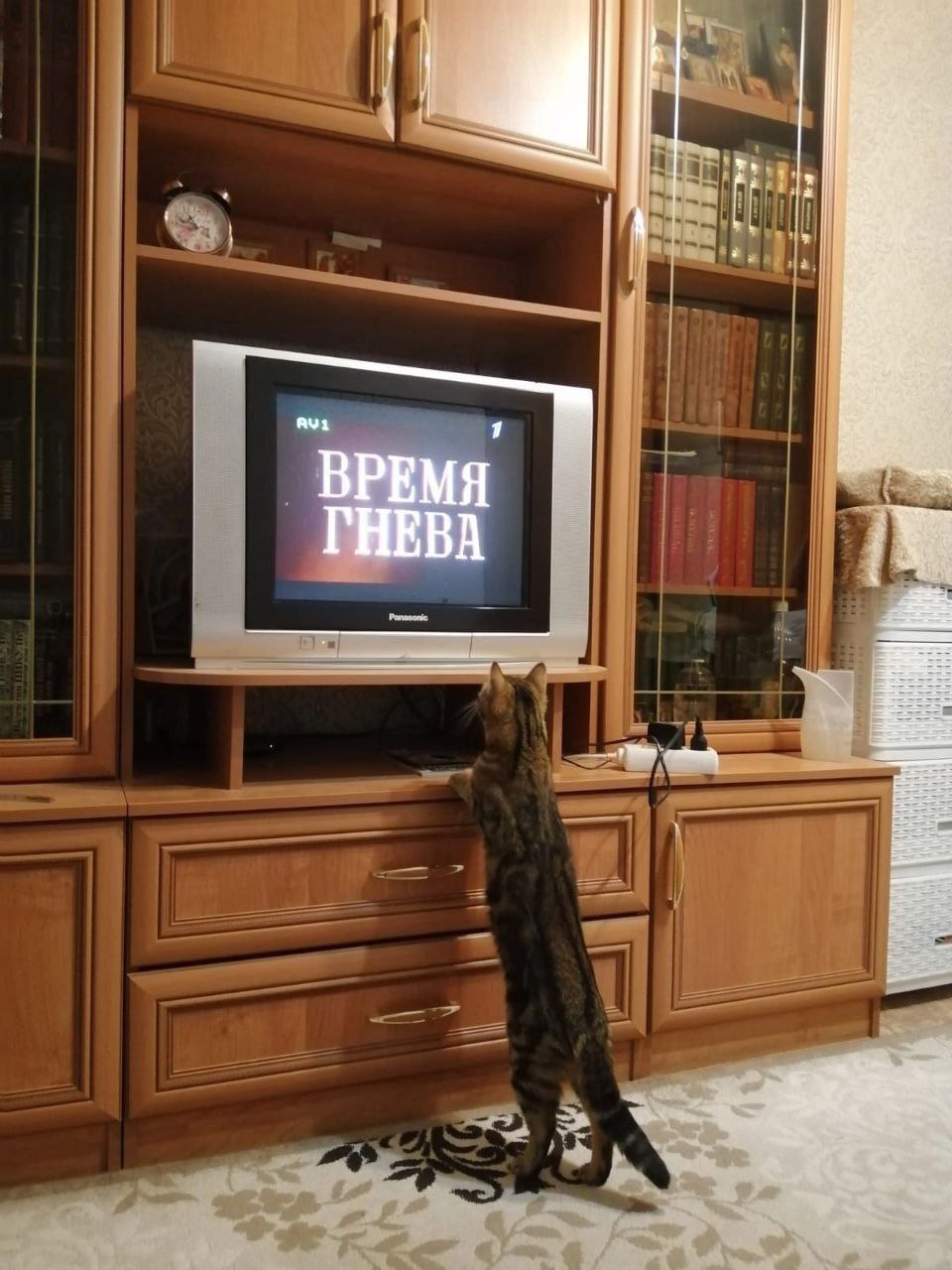 ВРЕМЯ ГНЕВА
