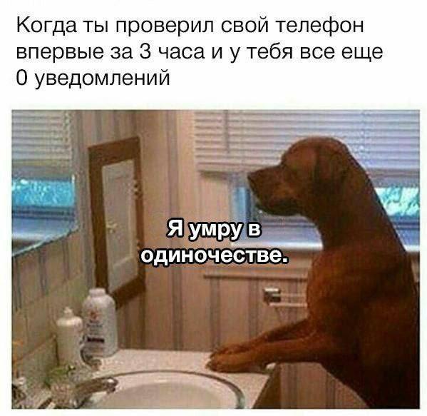Когда ты проверил свой телефон впервые за 3 часа и у тебя все еще 0 уведомлений 4 одиночестве