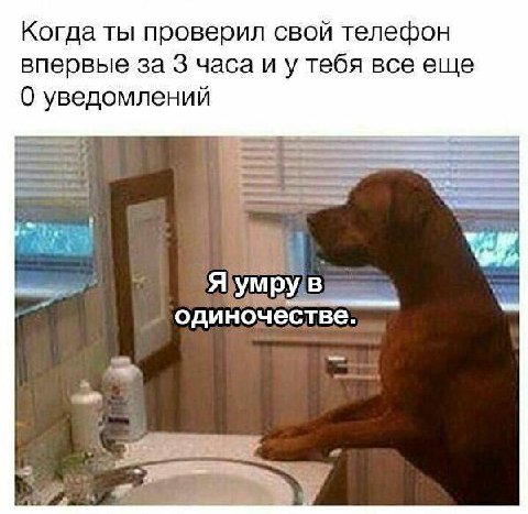 Когда ты проверил свой телефон впервые за 3 часа и у тебя все еще 0 уведомлений 4 одиночестве