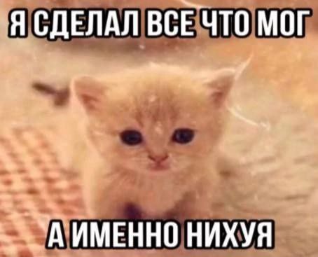 Я СДЕЛАЛ ВСЕ ЧТО МОГ `АИМЕННО НИХУЯ