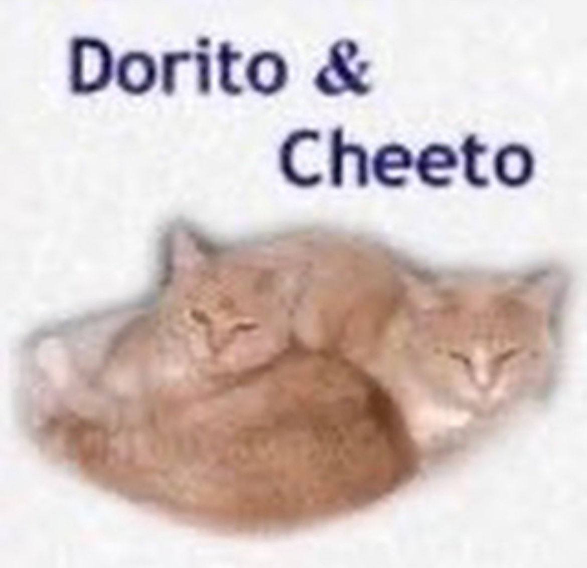 Dorito Cheeto