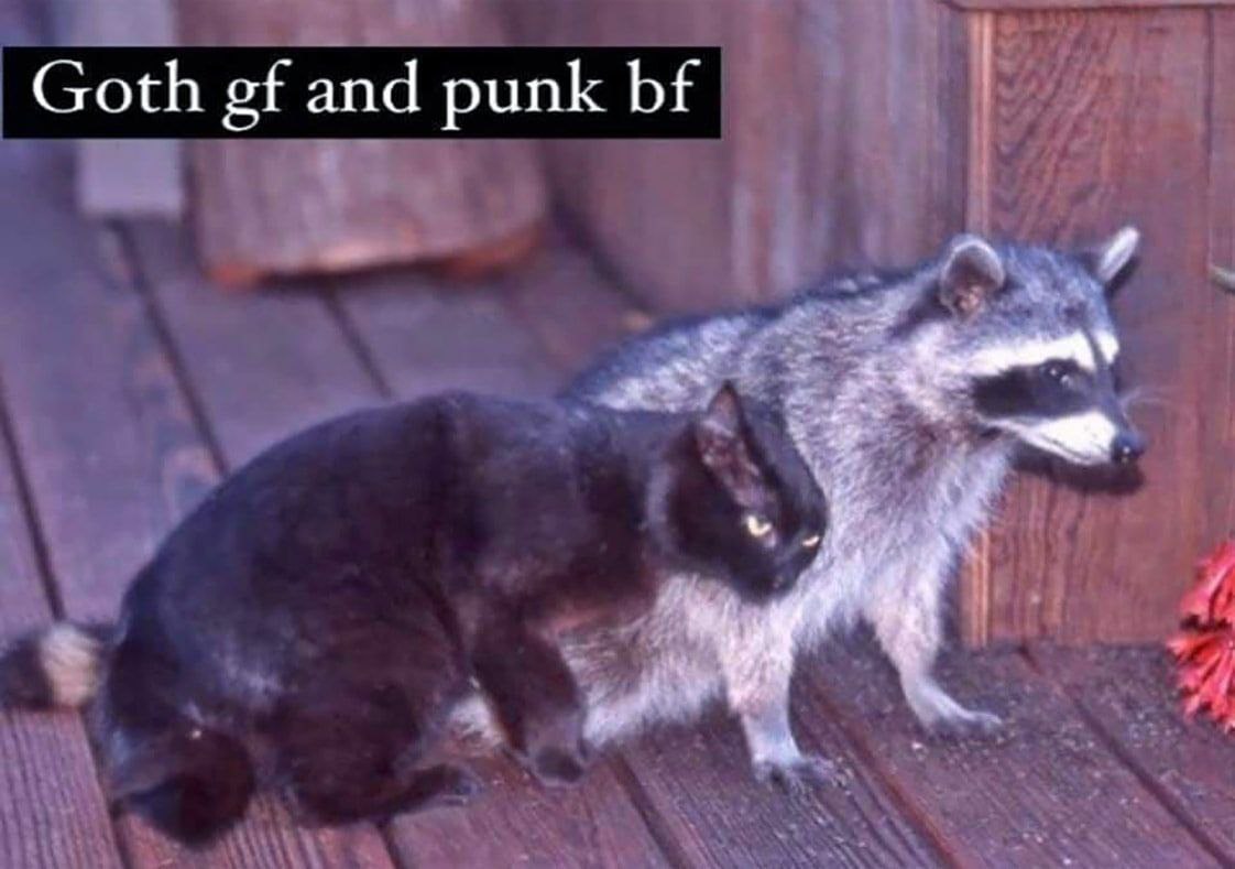 Goth and punk