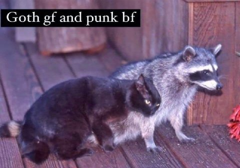 Goth and punk