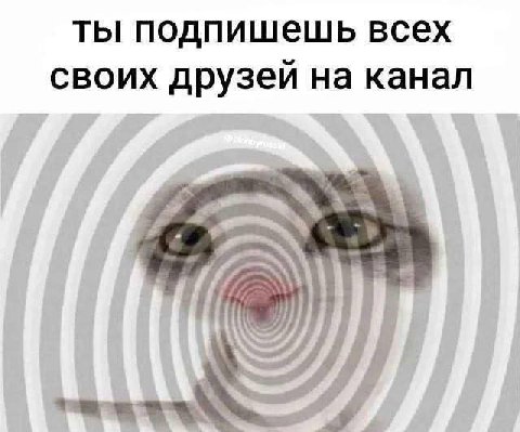 ты подпишешь всех своих друзей на канал if