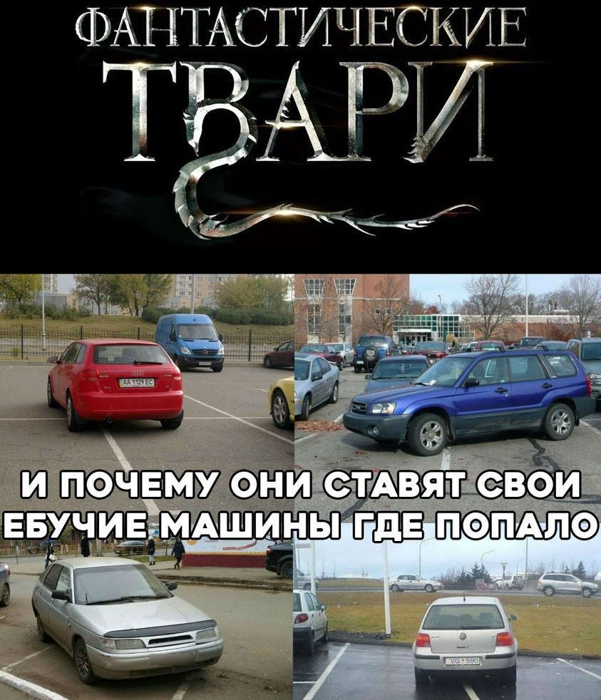 ФАНТАСТИ ЧЕСКИЕ we И ПОЧЕМУ они с ТАВЯТ СВОЙ МАШИ ГДЕ