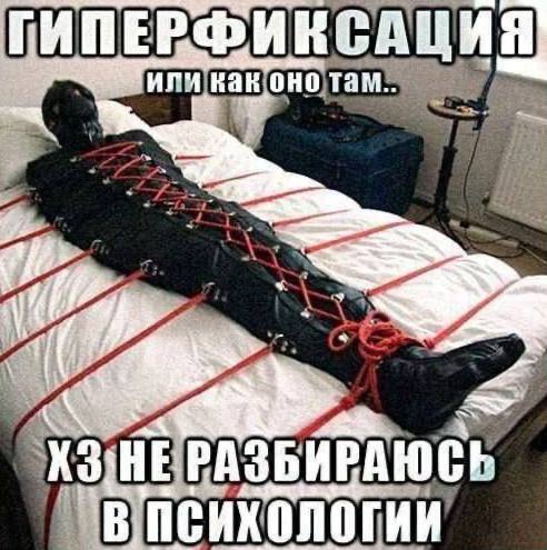 РФИНСАЦ каконотам