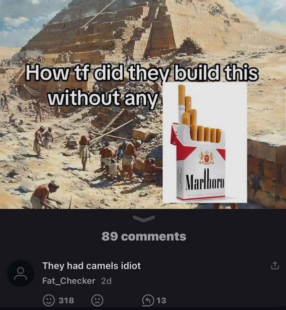 How did-they build this without any They had camels idiot