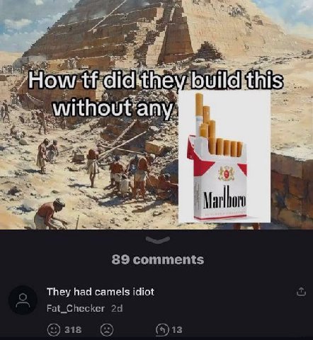 How did-they build this without any They had camels idiot